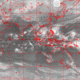 2007112219.01F.IR1.gif