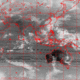 2007112606.00F.IR1.gif