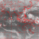 2007112618.01F.IR2.gif