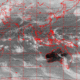 2007120205.30F.IR1.gif