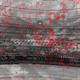 2008022501.01F.IR2.gif