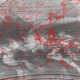 2008023114.01F.IR2.gif