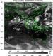 FY2C-200809090100UTC-IR2.jpg