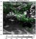 FY2C-200809090200UTC-IR1.jpg