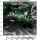 FY2C-200809090400UTC-IR2.jpg