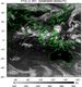 FY2C-200809090500UTC-IR1.jpg