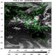 FY2C-200809090600UTC-IR1.jpg