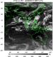 FY2C-200809100801UTC-IR1.jpg