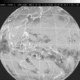 g0502011510.ir2.gif