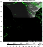 GOES15-225E-201309021345UTC-ch1.jpg