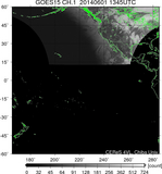 GOES15-225E-201406011345UTC-ch1.jpg