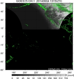 GOES15-225E-201406041315UTC-ch1.jpg