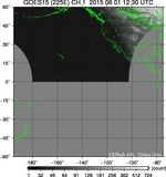 GOES15-225E-201508011230UTC-ch1.jpg