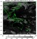 MTSAT1R-140E-200603200130UTC-IR4.jpg