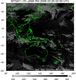 MTSAT1R-140E-200603200230UTC-IR4.jpg