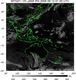 MTSAT1R-140E-200609120130UTC-IR4.jpg