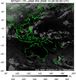 MTSAT1R-140E-200610290030UTC-IR4.jpg