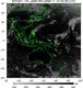 MTSAT1R-140E-200611100330UTC-IR4.jpg