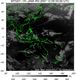 MTSAT1R-140E-200712090330UTC-IR4.jpg