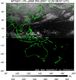 MTSAT1R-140E-200712200857UTC-IR4.jpg