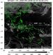 MTSAT1R-140E-200802030230UTC-IR4.jpg