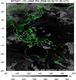 MTSAT1R-140E-200803020130UTC-IR4.jpg