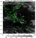 MTSAT1R-140E-200803020430UTC-IR4.jpg