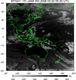 MTSAT1R-140E-200803020530UTC-IR4.jpg