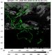 MTSAT1R-140E-200903060230UTC-IR4.jpg