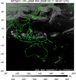 MTSAT1R-140E-200903110057UTC-IR4.jpg