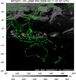 MTSAT1R-140E-200903110157UTC-IR4.jpg