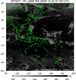 MTSAT1R-140E-200910220130UTC-IR4.jpg