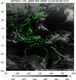 MTSAT1R-140E-200912030330UTC-IR4.jpg