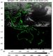 MTSAT1R-140E-200912030357UTC-IR4.jpg