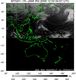 MTSAT1R-140E-200912030457UTC-IR4.jpg