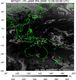 MTSAT1R-140E-200912090330UTC-IR4.jpg