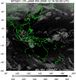 MTSAT1R-140E-200912160230UTC-IR4.jpg