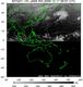 MTSAT1R-140E-200912170657UTC-IR4.jpg