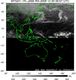 MTSAT1R-140E-200912300657UTC-IR4.jpg