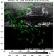 MTSAT1R-140E-200912300757UTC-IR4.jpg