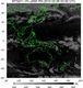 MTSAT1R-140E-201003060330UTC-IR4.jpg