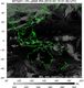 MTSAT1R-140E-201003150130UTC-IR4.jpg