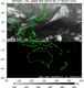 MTSAT1R-140E-201003170057UTC-IR2.jpg