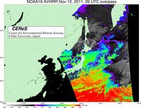 NOAA16Nov1209UTC_SST.jpg