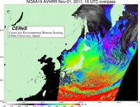 NOAA19Nov0116UTC_SST.jpg