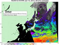 NOAA16Jan1009UTC_SST.jpg