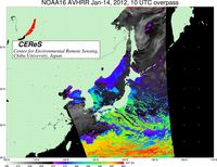 NOAA16Jan1410UTC_SST.jpg