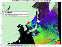 NOAA16Jan1809UTC_SST.jpg