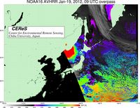 NOAA16Jan1909UTC_SST.jpg