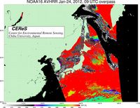 NOAA16Jan2409UTC_SST.jpg